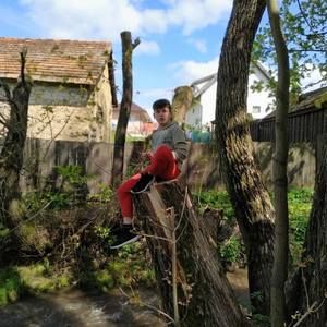 Meet your Posher, Dávid